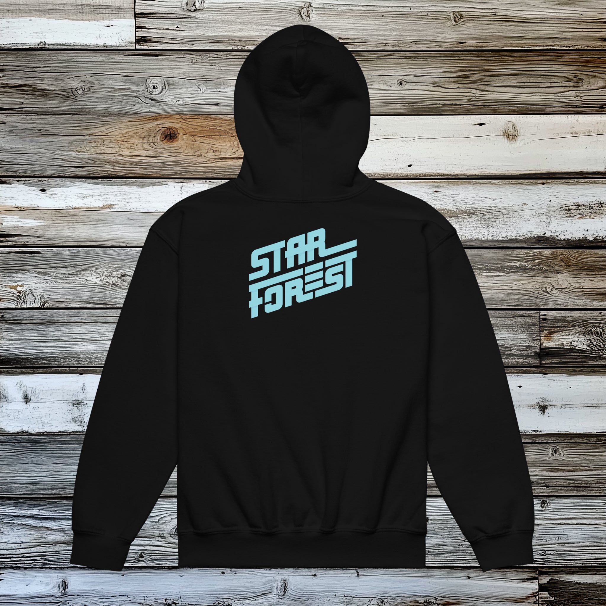 Star Forest Band Hoodie (Youth) – Reggie Marc's